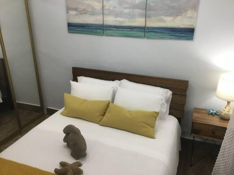 One Bedroom Apt 30 Steps From Prime Beach Generator Parking Included San Juan Ngoại thất bức ảnh